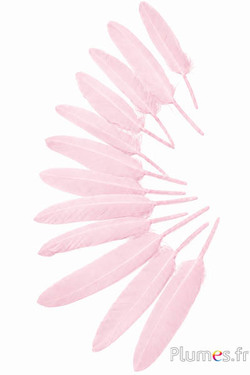 Gans - 10-15 cm - beige roze